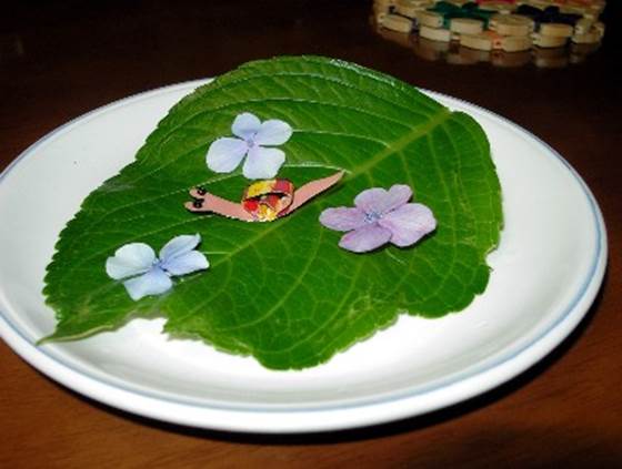 ���z�ԂƃJ�^�c����