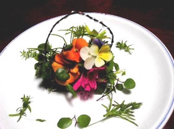 �R���q�̏�����